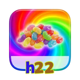 h22